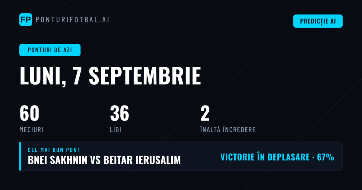 Contextul Pieței și Statistici Generale