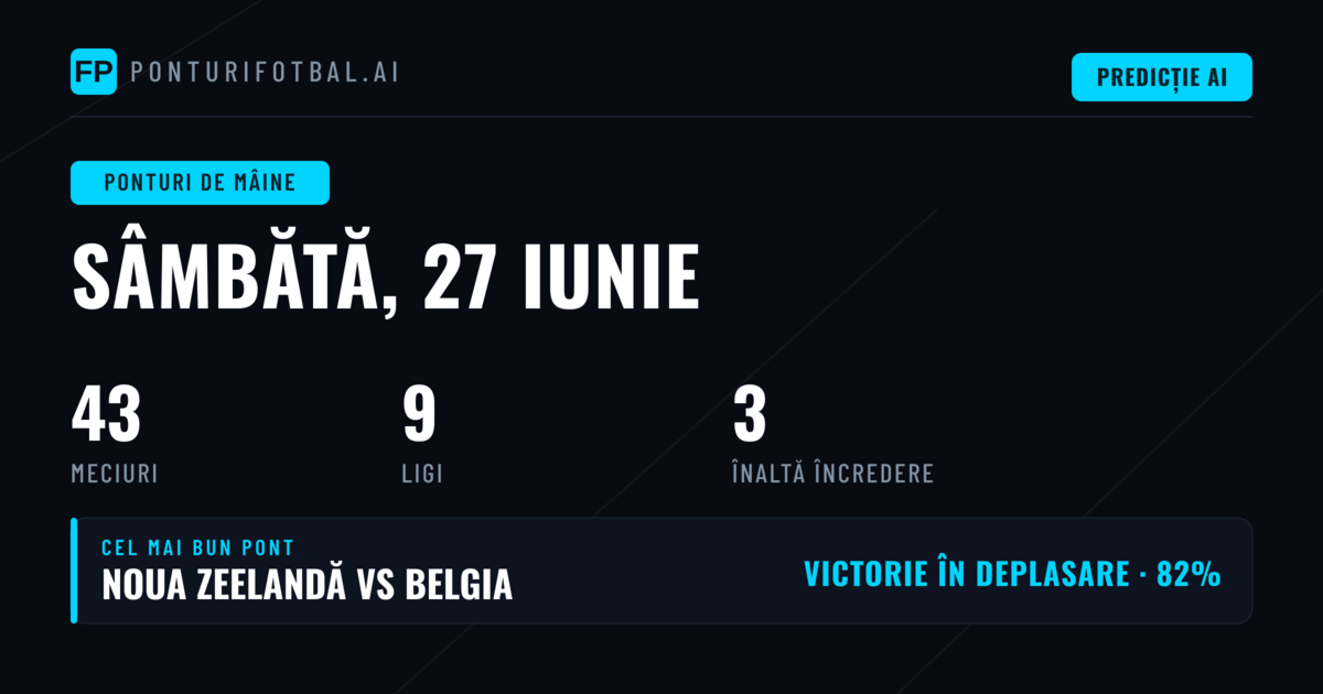 Introducere: O Zi Plină de Acțiune pe Terrenul de Fotbal