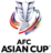 Cupa AFC