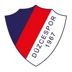 Düzcespor