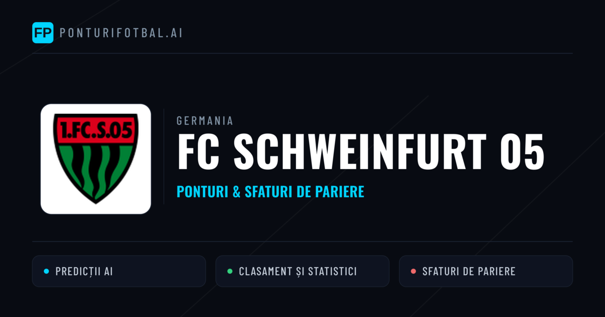 FC Schweinfurt 05 Ponturi și statistici