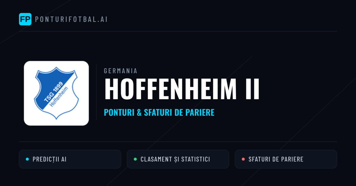 Hoffenheim II Ponturi și statistici
